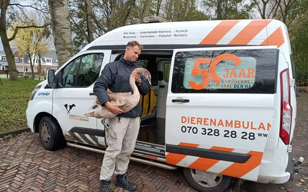 Twintigpuntenplan dierenambulances