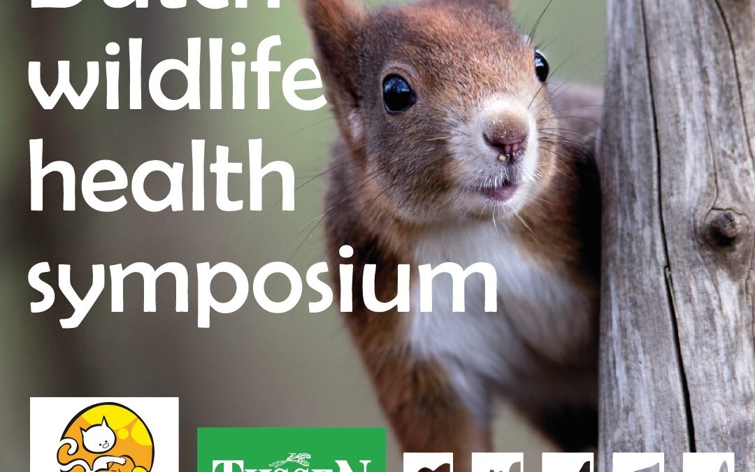 Dutch Wildlife Health symposium