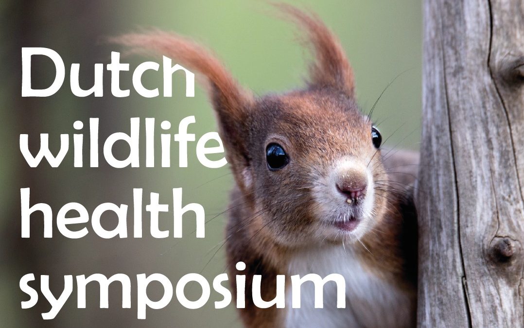 Dutch Wildlife Health symposium