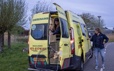 Basisopleiding Dierenambulance krijgt steeds meer vorm