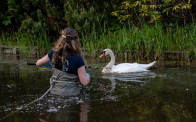 Nieuwe landelijke basisopleiding voor dierenambulancemedewerkers